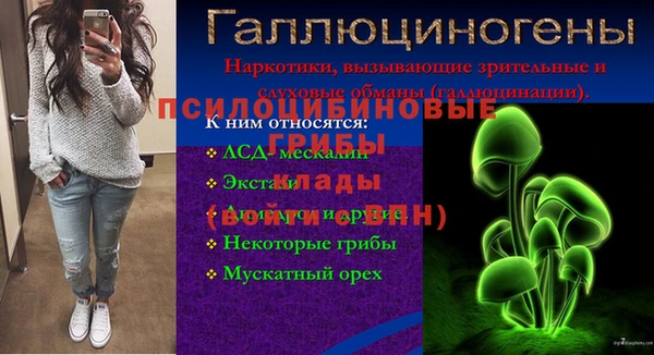 PSILOCYBIN Киреевск