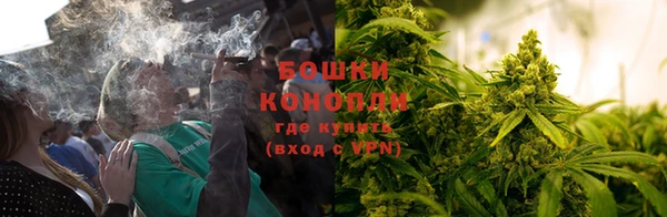 PSILOCYBIN Киреевск