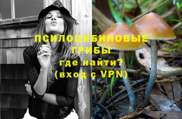 герыч Кинешма