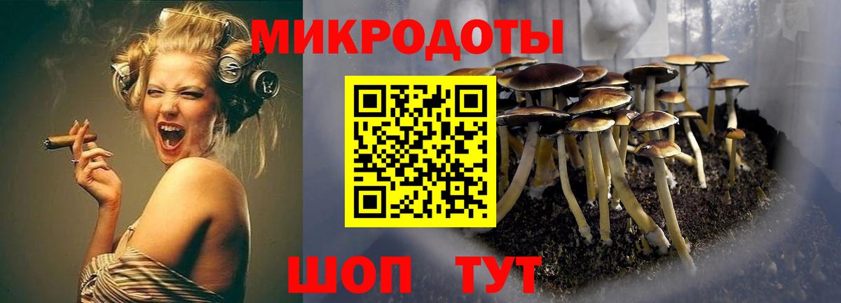 Галлюциногенные грибы Cubensis  Вход с VPN  Куйбышев  Галлюциногенные грибы GOLDEN TEACHER 